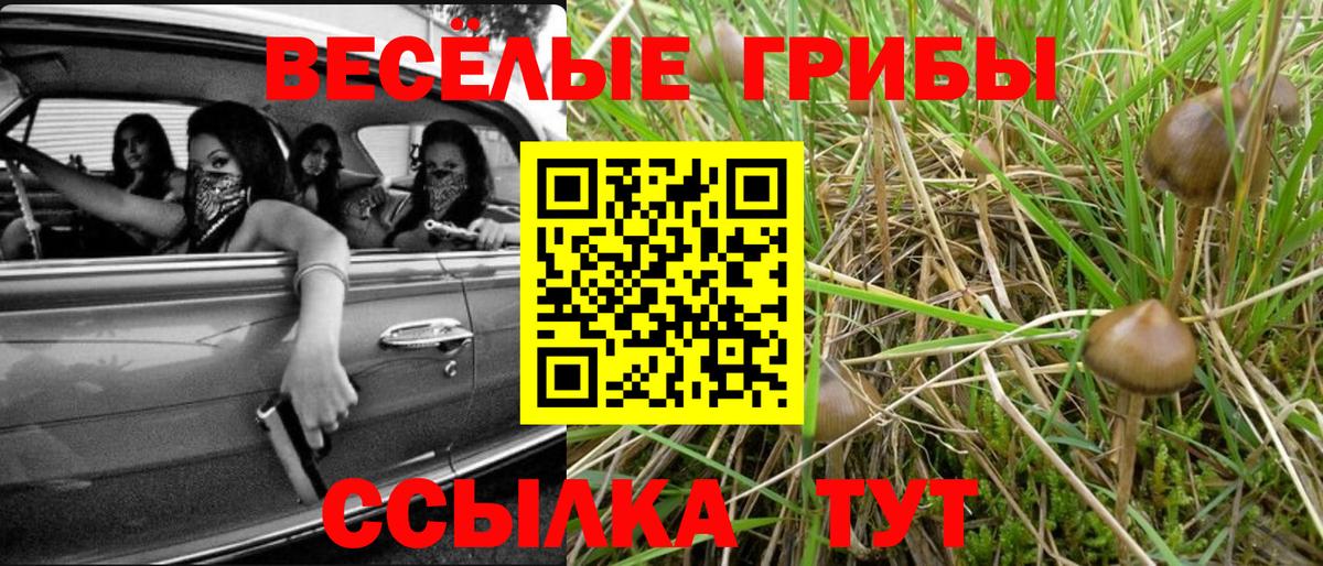 наркошоп  Вход с VPN  Нерюнгри  Галлюциногенные грибы Cubensis 