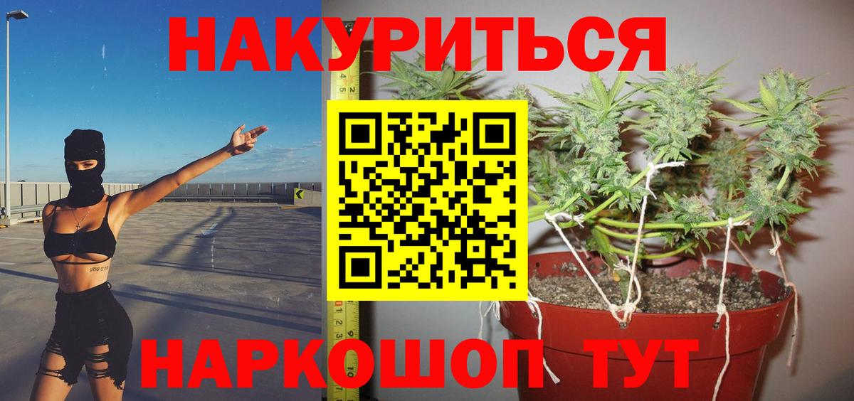 Нерюнгри  Бошки Шишки SATIVA & INDICA  Шишки марихуана планчик  Вход с VPN  Марихуана ГИДРОПОН 